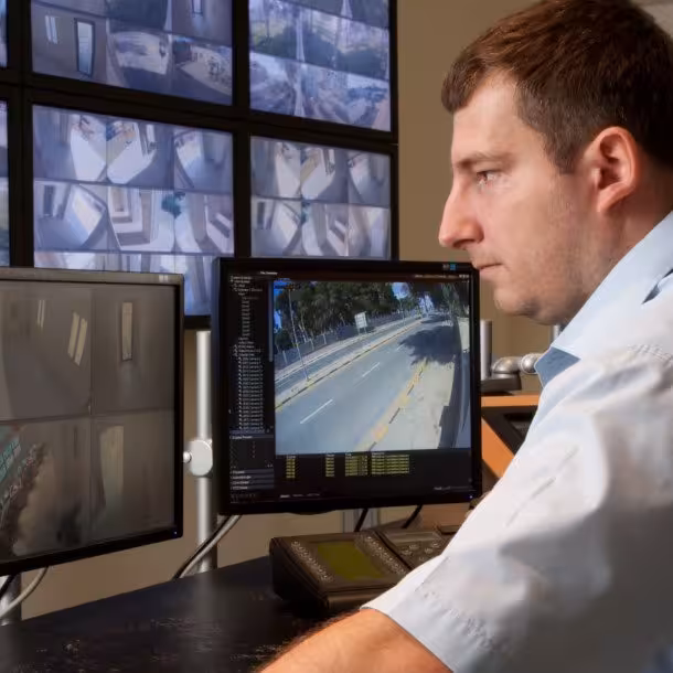 24 hour monitoring of CCTV and security cameras.